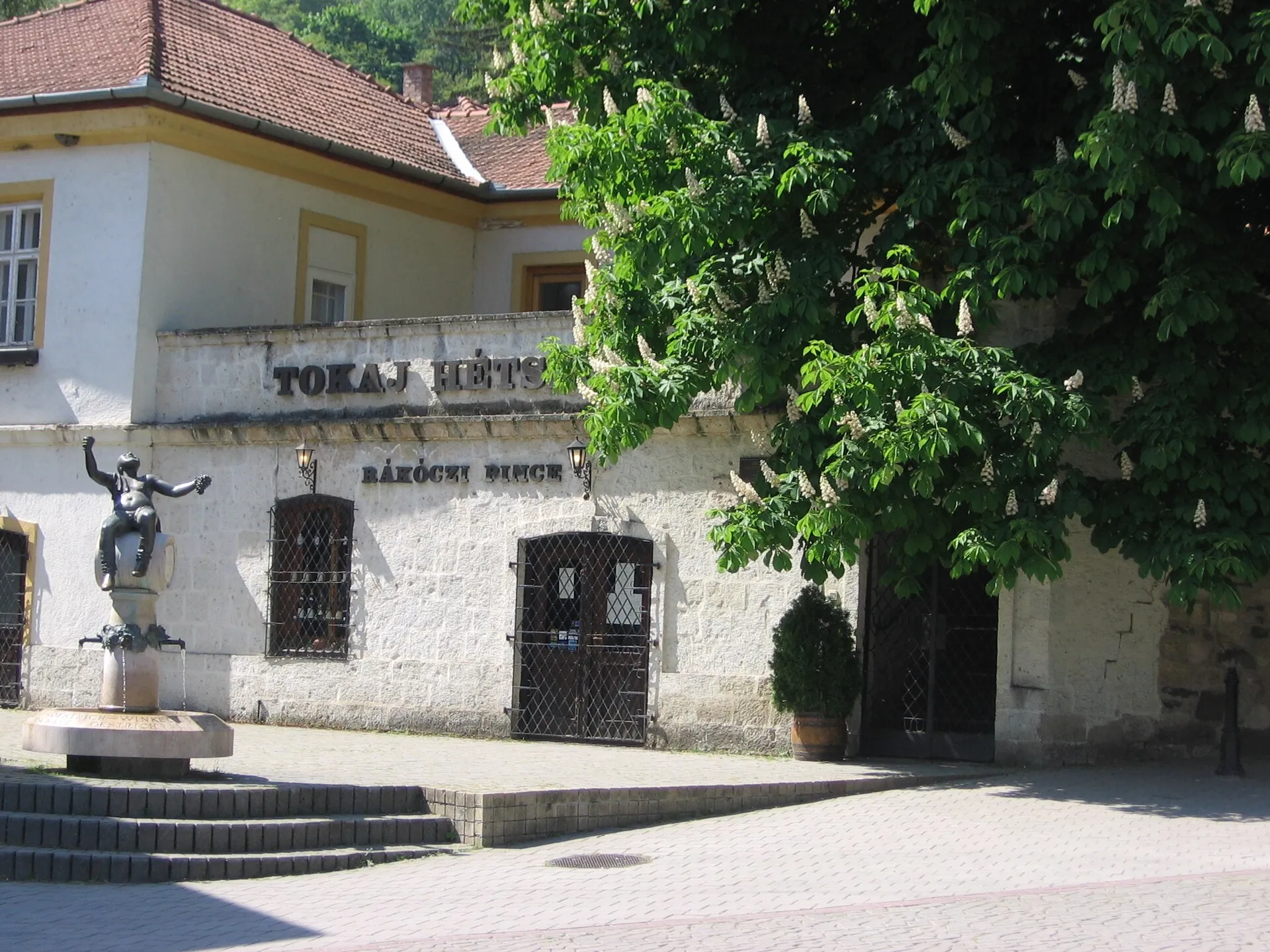A tokaji Rákóczi-pince világos homlokzatú épülete, előtte szobor és lépcső, mögötte zöld lombok